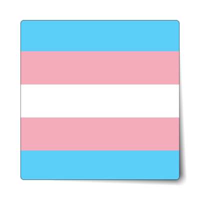 transgender flag stickers, magnet