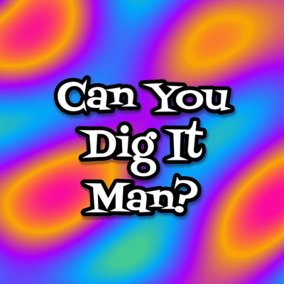 Can You Dig It Man 70s Party Slang Stickers, Magnet